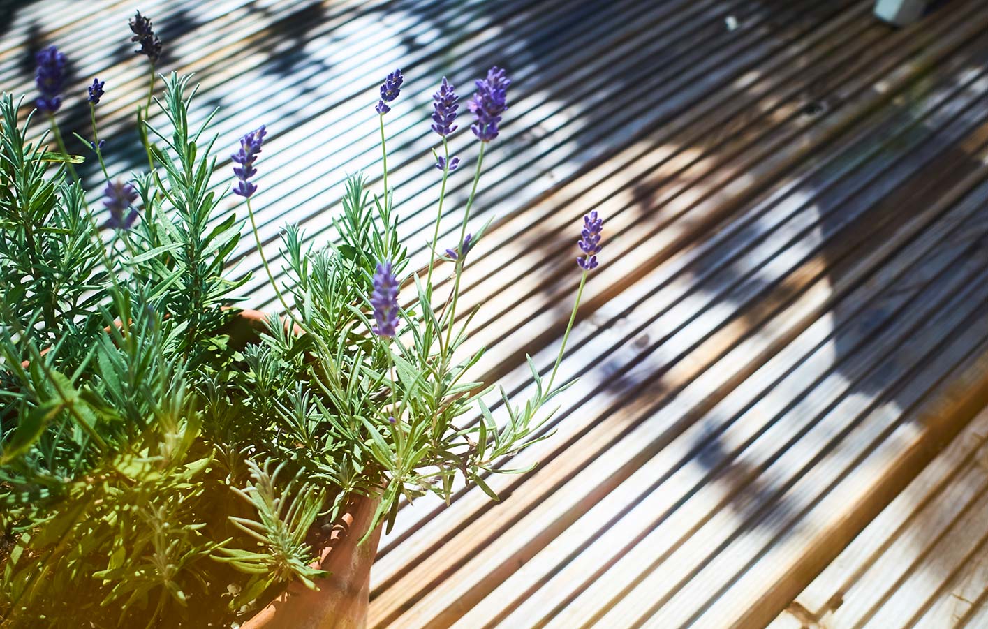 Nahaufnahme einer Holzterrasse 